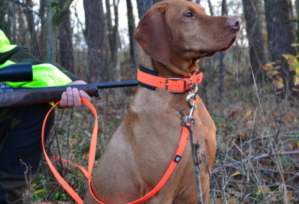 Jagdhunde Schweiß - Halsband , Hunde Schweißhalsung , Signal - Halsung mit Polsterung